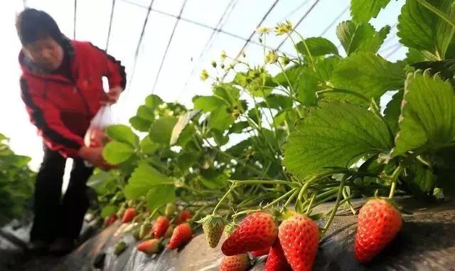 整頓大棚房成了一刀切的代名詞，斷水斷電磚瓦不留，拆成了荒蕪！