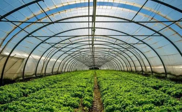 整頓大棚房成了一刀切的代名詞，斷水斷電磚瓦不留，拆成了荒蕪！