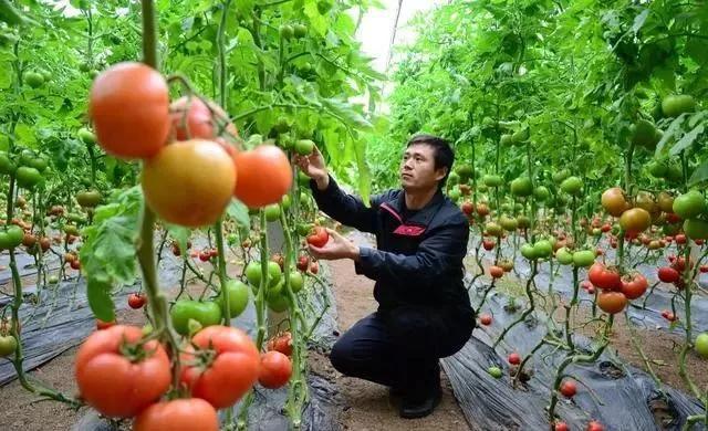 整頓大棚房成了一刀切的代名詞，斷水斷電磚瓦不留，拆成了荒蕪！